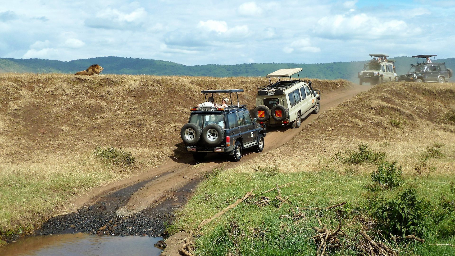 TAFARI SAFARIS