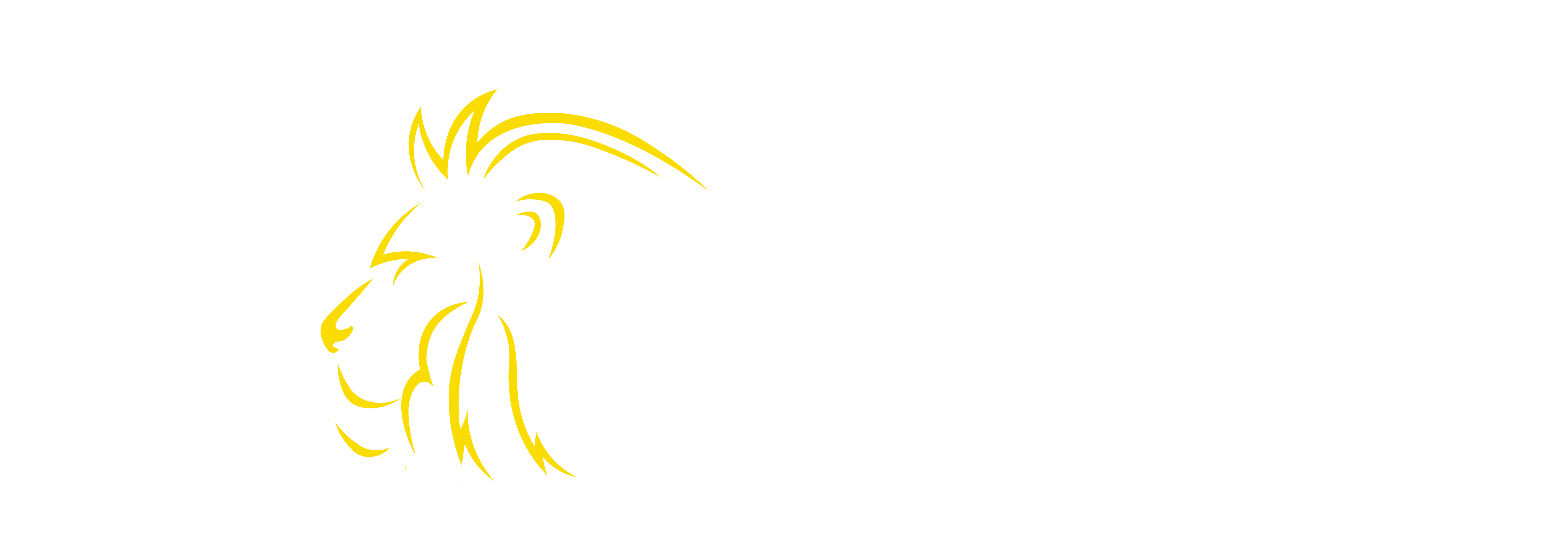 TAFARI SAFARIS