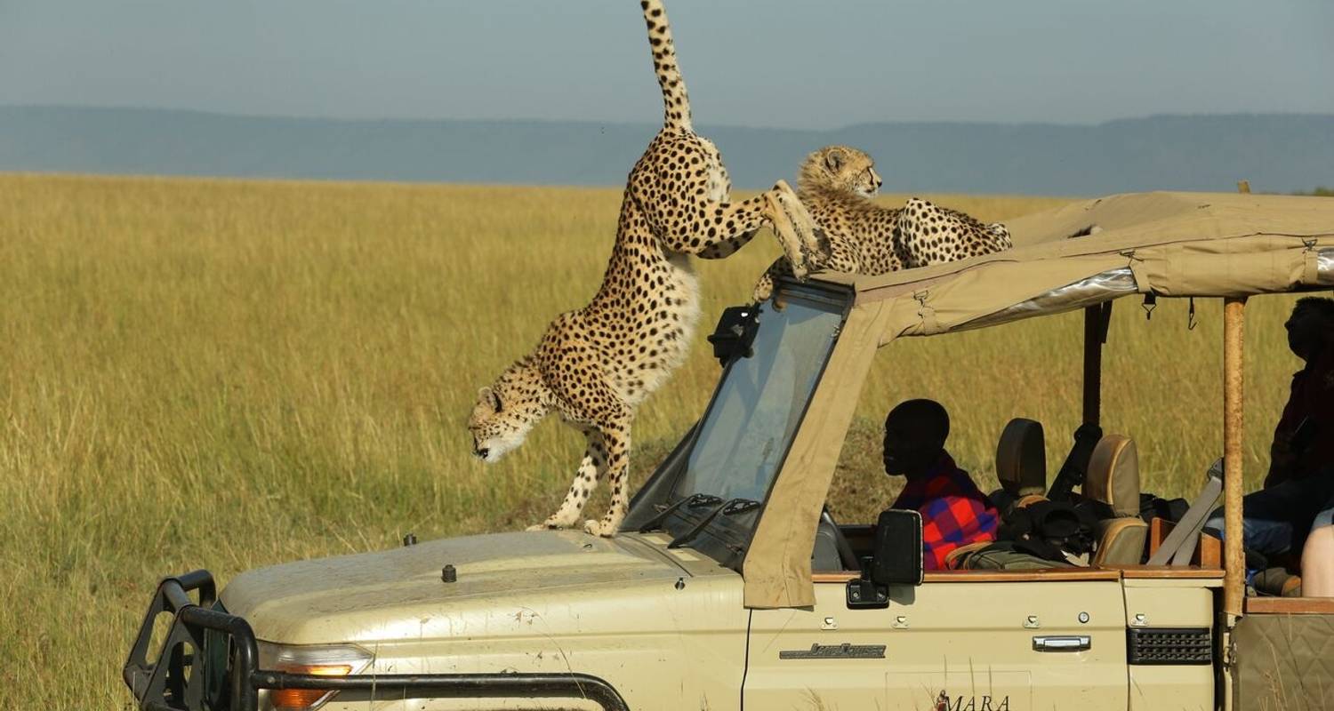 TAFARI SAFARIS