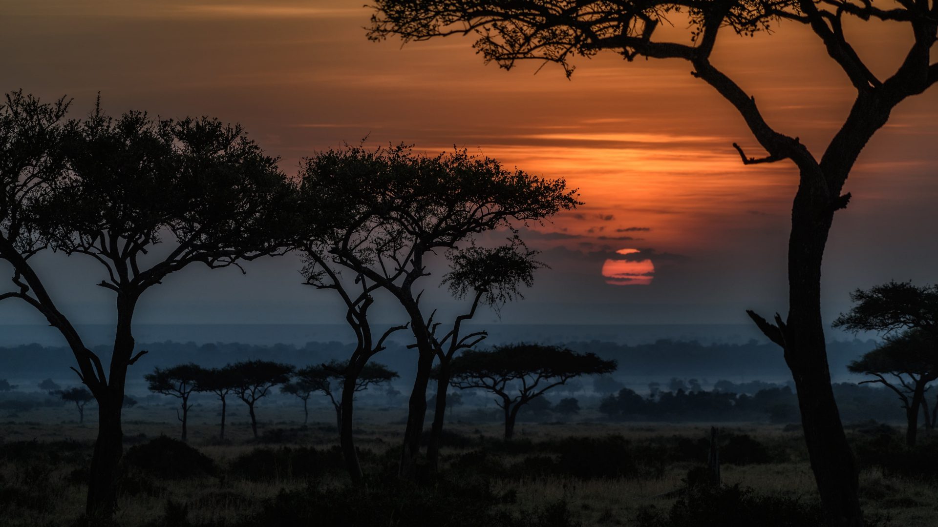 masai mara tour guides uganda