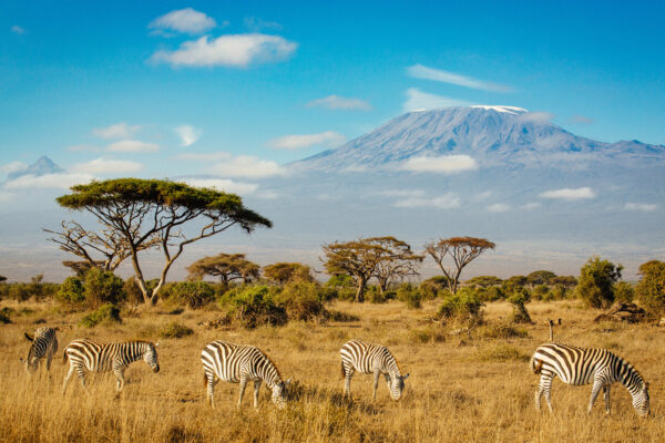 visit tanzania