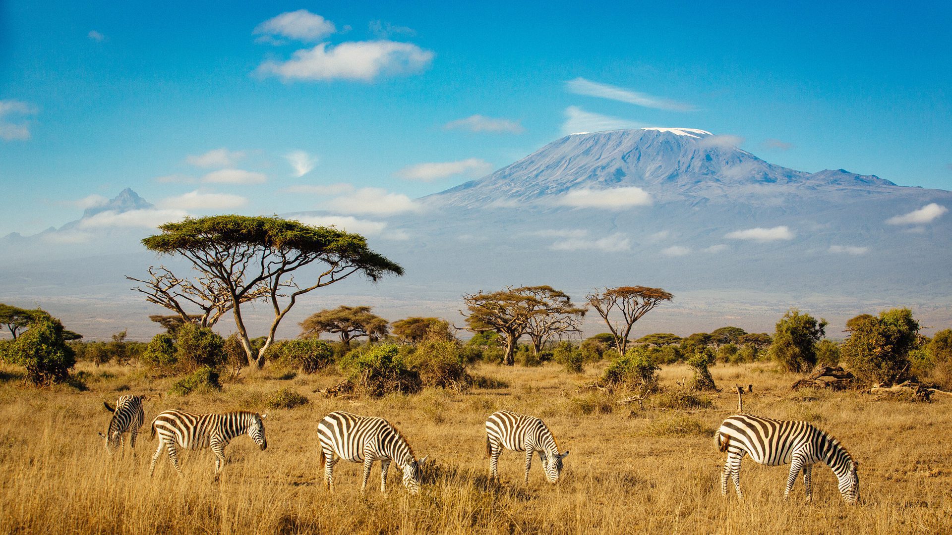 visit tanzania