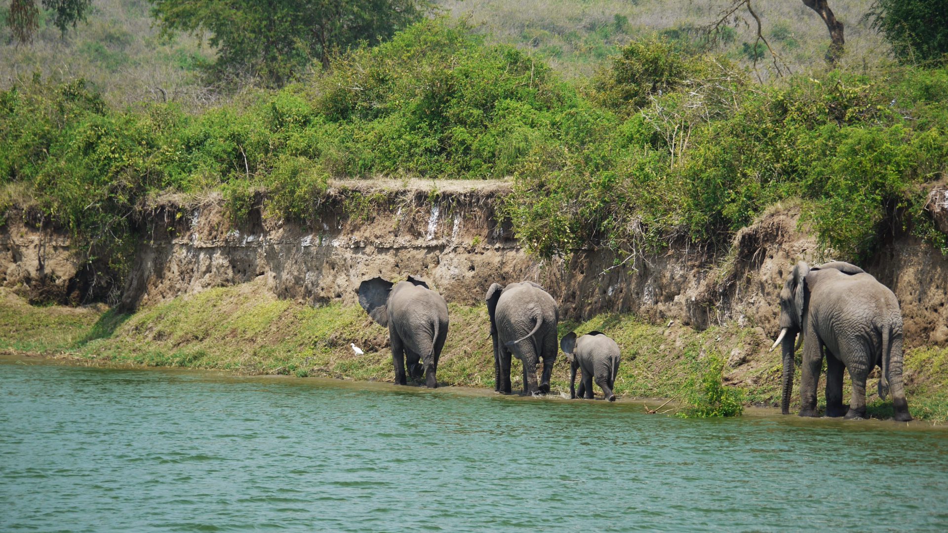 TAFARI SAFARIS