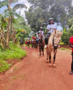 Horse Riding In Uganda